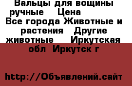 Вальцы для вощины ручные  › Цена ­ 10 000 - Все города Животные и растения » Другие животные   . Иркутская обл.,Иркутск г.